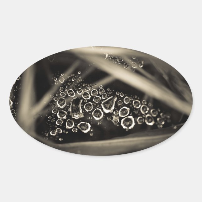 raindrops on web oval sticker (Front)