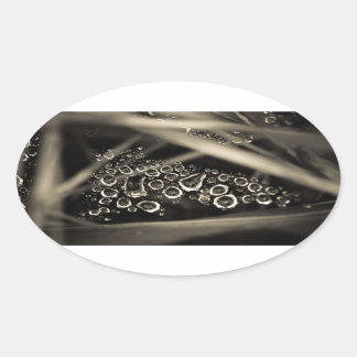 raindrops on web oval sticker