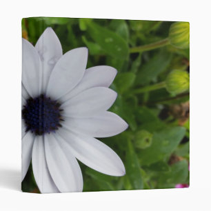 raindrops on white binder