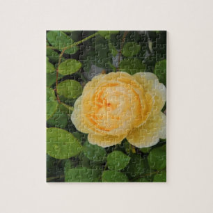 Raindrops on Yellow Rose Jigsaw Puzzle