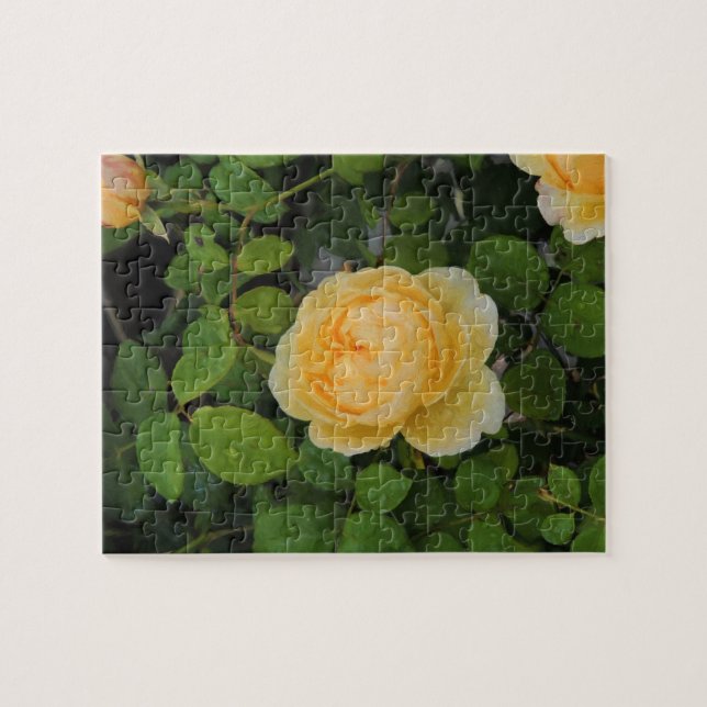 Raindrops on Yellow Rose Jigsaw Puzzle (Horizontal)