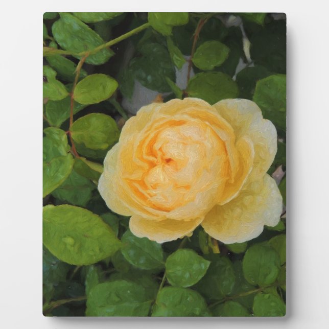 Raindrops on Yellow Rose Plaque (Front)