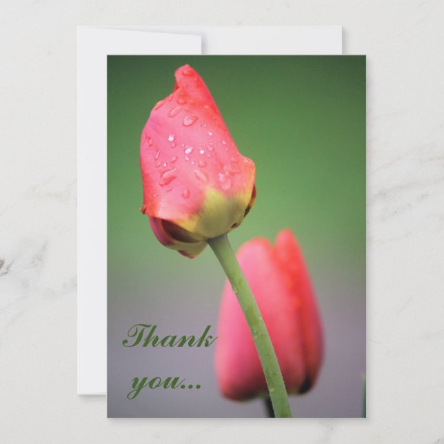 Raindrops Pink Tulips Thank you cards (Front)