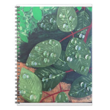 "Raindrops" Spiral Notebook