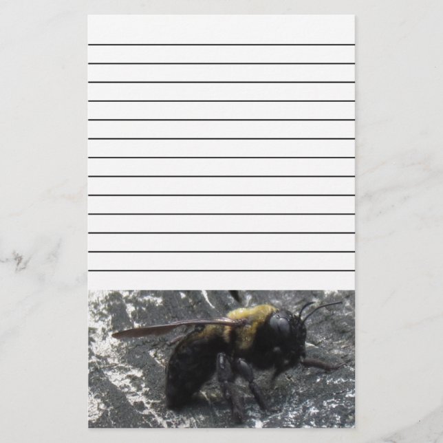 Raindrops Stationery (Front)