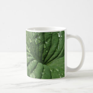 Raindrops sur Hosta Leaf Mug