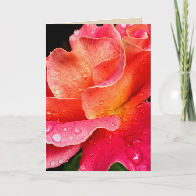 Raindrops sur Rose Pétales Carte de voeux - Couleu (Devant)