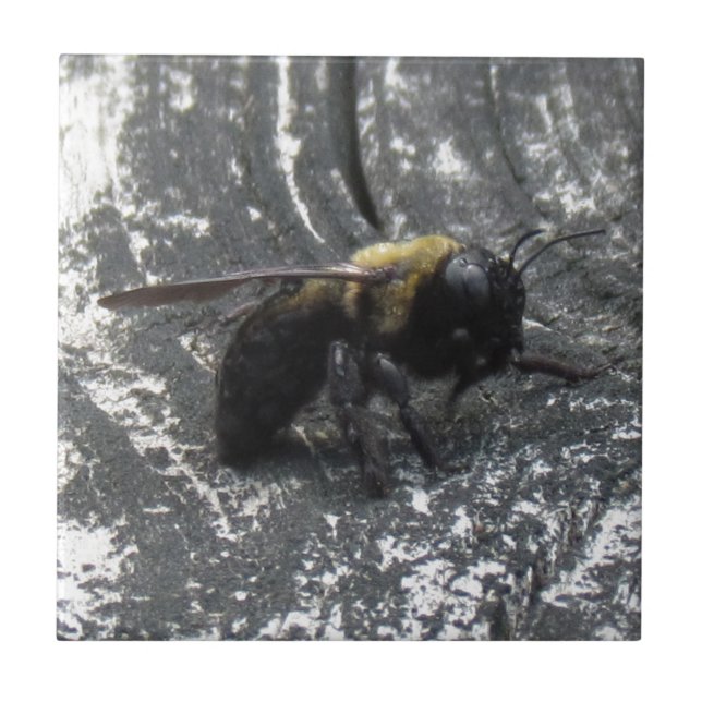 Raindrops Tile (Front)