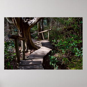 Rainforest Boardwalk with Steps Print