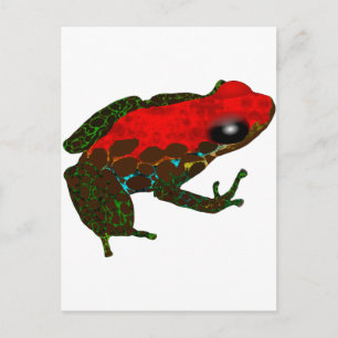 Rainforest Dart Frog Postcard