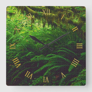 Rainforest Jungle Les horloges murales des amoureu
