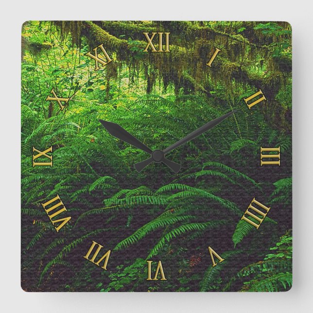 Rainforest Jungle Nature-lover's Wall Clocks (Front)