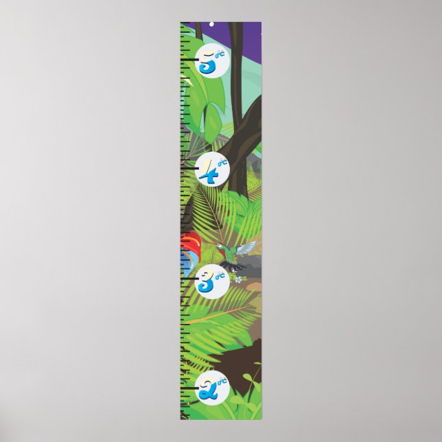 Rainforest jungle stream Growth Chart (Front)