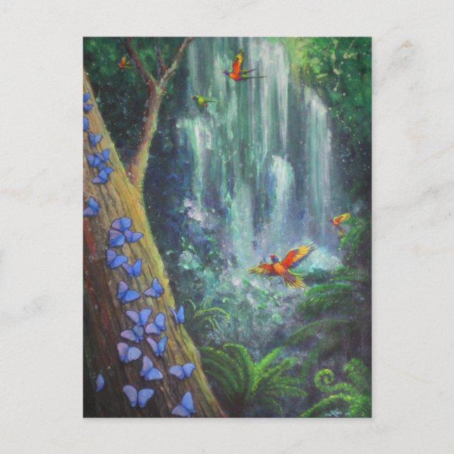 Rainforest Magic Postcard (Front)