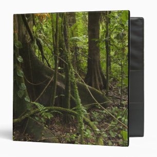 Rainforest, Mapari River North Rupununi, Binder
