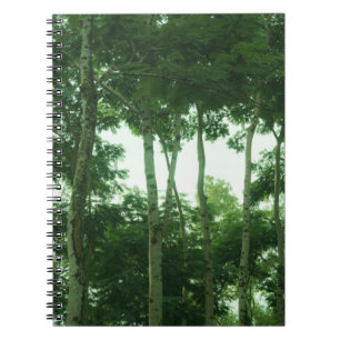 Rainforest Notebook