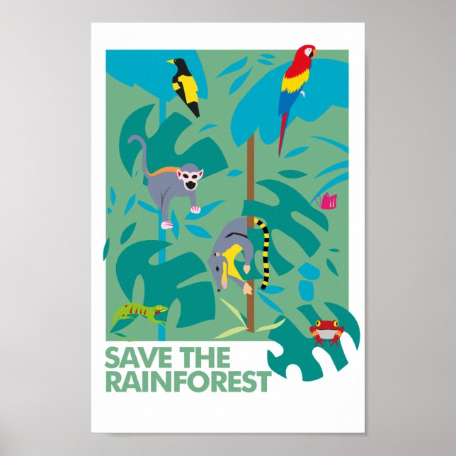 RAINFOREST POSTER (Front)