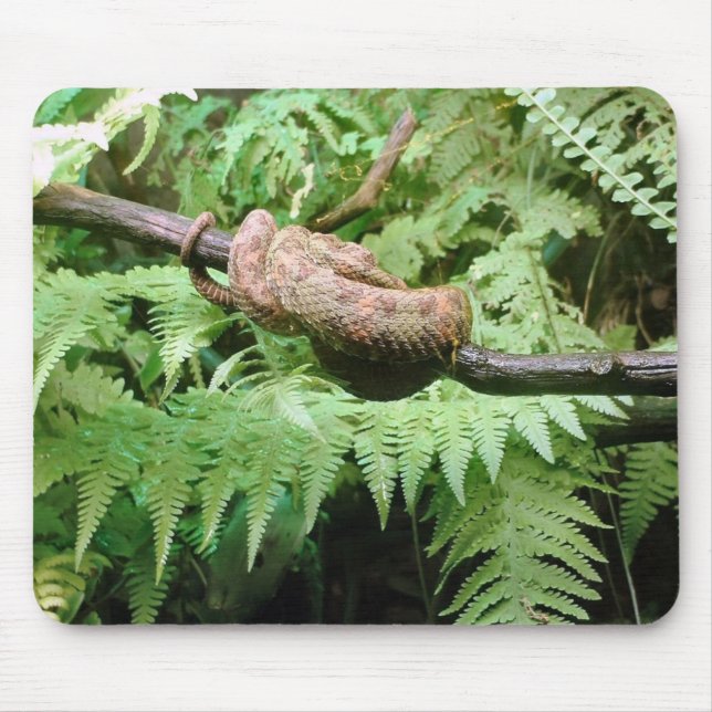 Rainforest Snake Wrap - mousepad (Front)