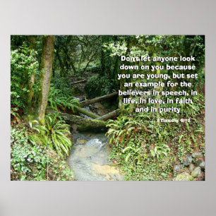 Rainforest Stream Called by God Print