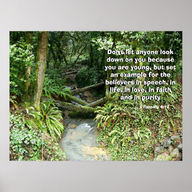 Rainforest Stream Called by God Print (Front)