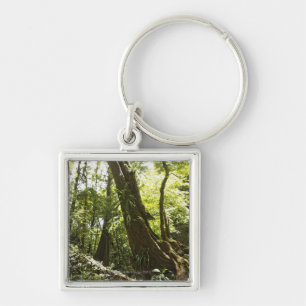 rainforest view, Dominica Keychain