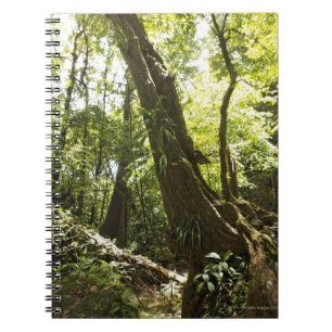 rainforest view, Dominica Notebook