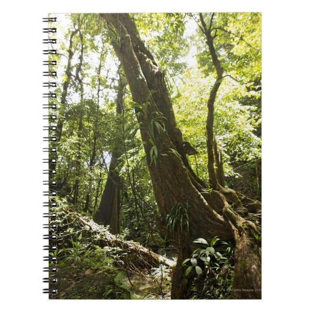 rainforest view, Dominica Notebook (Front)
