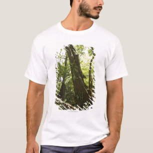 rainforest view, Dominica T-Shirt