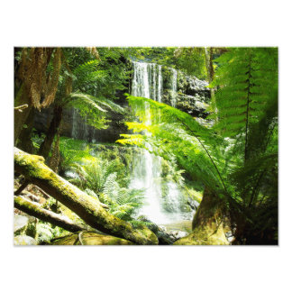 Rainforest Waterfall Photo Print