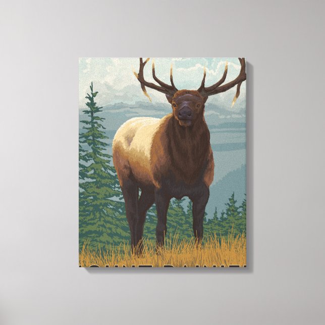 Rainier National Park, WashingtonElk Scene Canvas Print (Front)