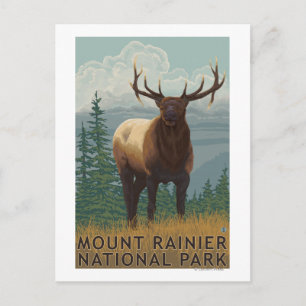 Rainier National Park, WashingtonElk Scene Postcard