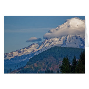 Rainier P5002