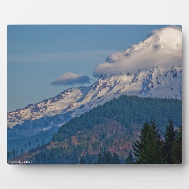 Rainier P5002 Plaque (Front)