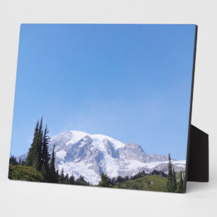 Rainier PDSC213 Plaque