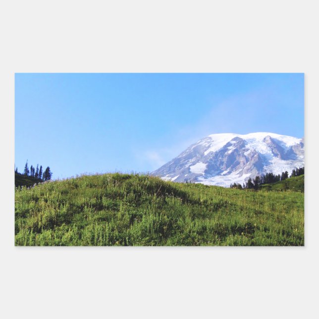 Rainier PDSC230 Sticker (Front)