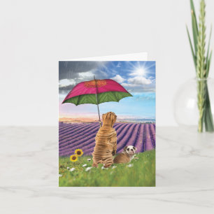 Raining Dogs Get Well Card