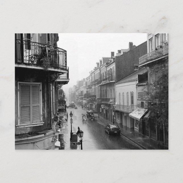 Rainswept Royal Street New Orleans Postcard (Front)