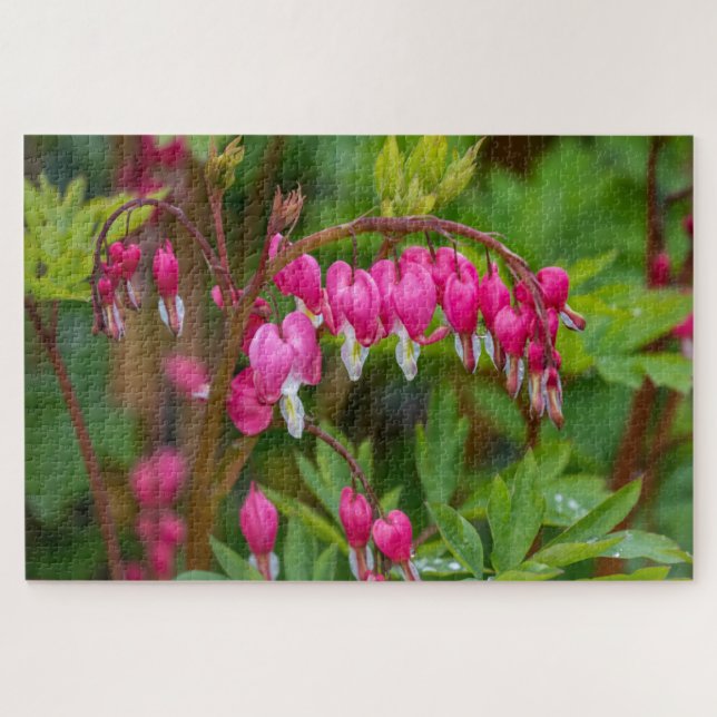 Rainy Day Bleeding Hearts Jigsaw Puzzle (Horizontal)