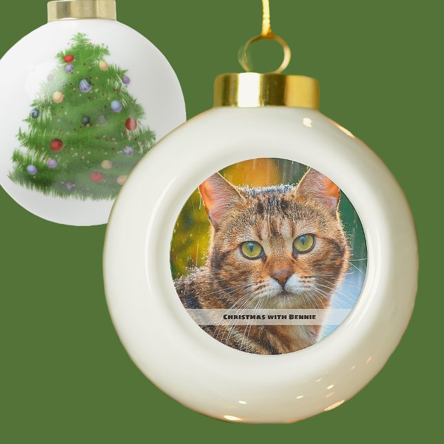 Rainy Day Cat Photo  Ceramic Ball Christmas Ornament (Creator Uploaded)