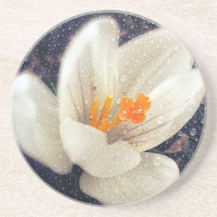 Rainy Day Crocus Coaster