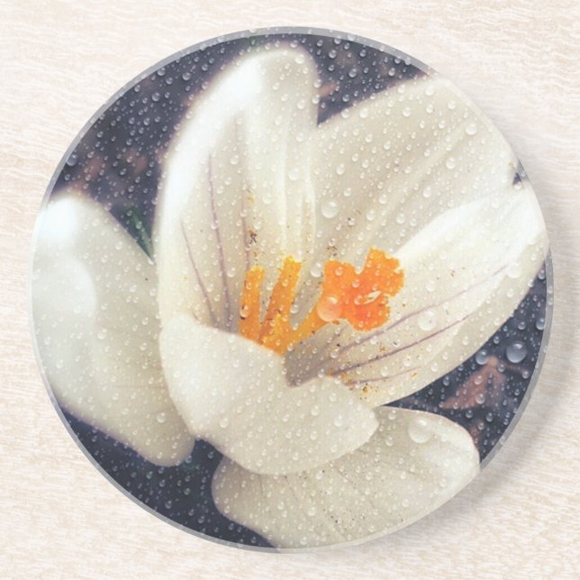 Rainy Day Crocus Coaster (Front)