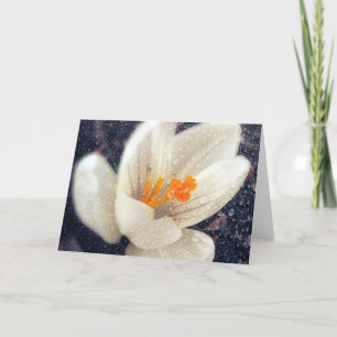 Rainy Day Crocus Flower Card