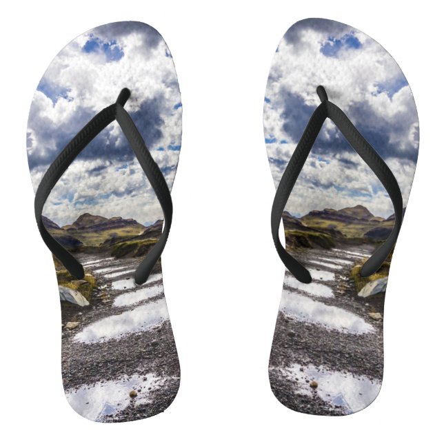 Rainy Day In Torres Del Paine NP Flip Flops (Footbed)