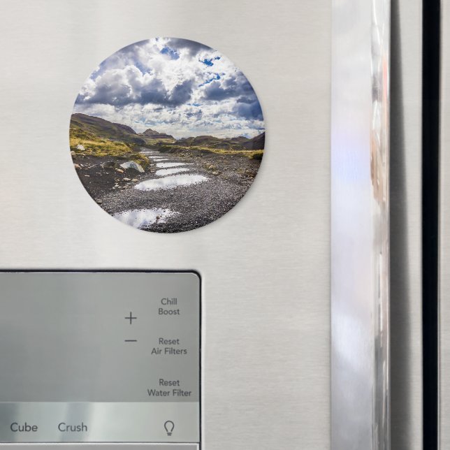 Rainy Day In Torres Del Paine NP Magnet (In Situ (Fridge))