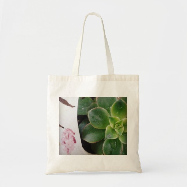 Rainy Day Succulents Tote Bag (Front)