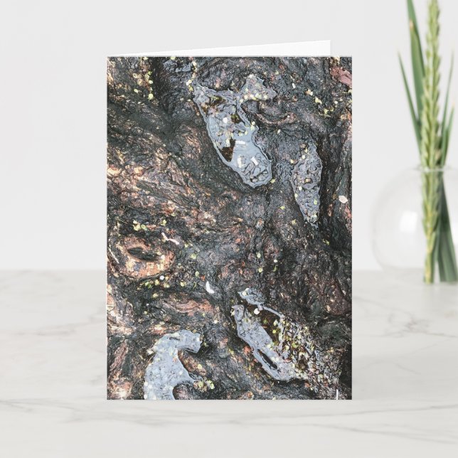 Rainy Day Tree Roots Puddle Nature Photography Card (Front)