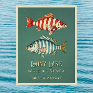 Rainy Lake Ontario Minnesota fish Postcard