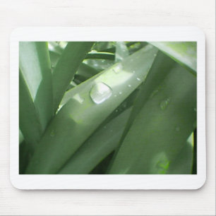 Rainy Spring Mouse Pad