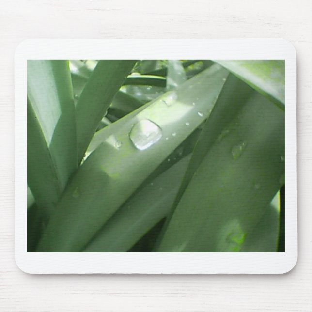 Rainy Spring Mouse Pad (Front)