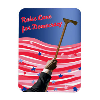 Raise Cane Democracy Magnet